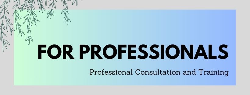 For Professionals: Professional Consultation and Training